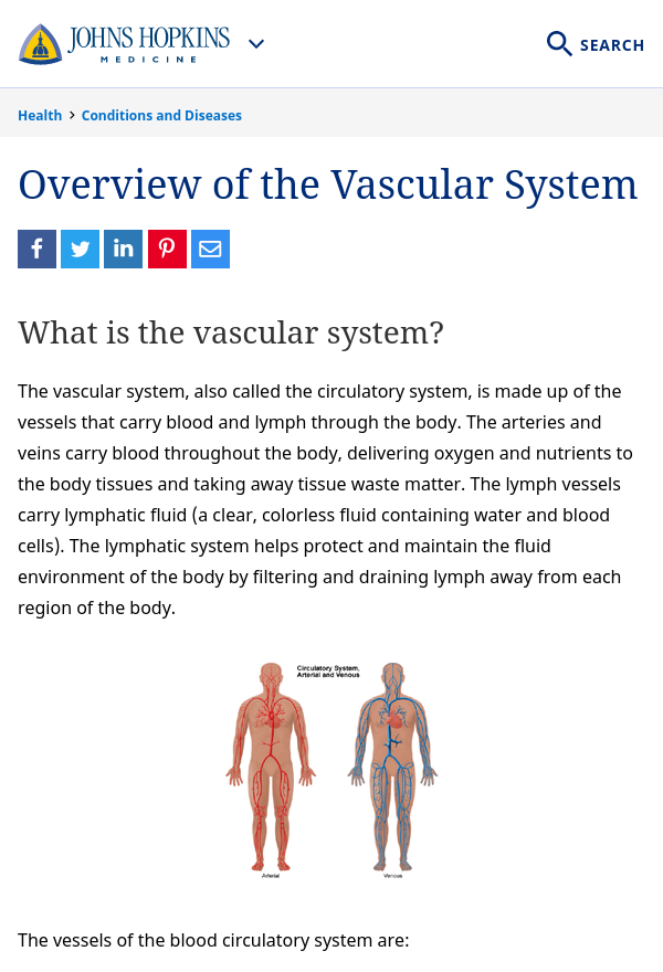 John Hopkins - Overview of the Vascular System